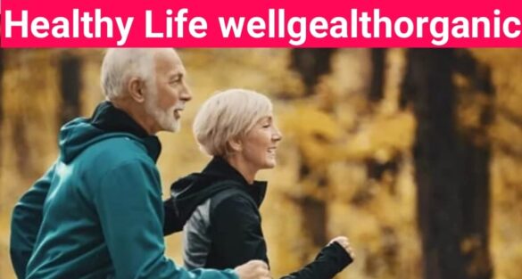 Healthy Life Wellhealthorganic