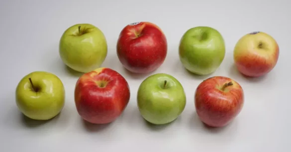 Fruit:T-Q7ke59k30= Apple