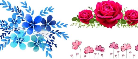 Clipart:5ftz0amu-Rq= Flowers