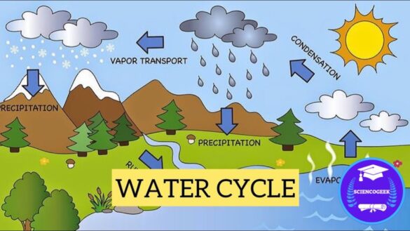 6th Grade:Nzc130ce_I0= Water Cycle