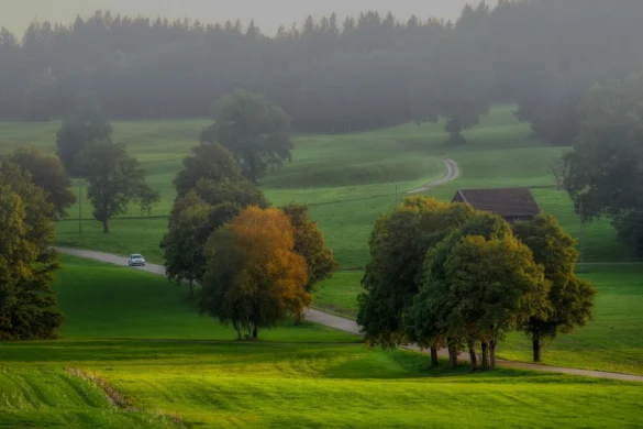 Nature:5nor5a-Vhpg= Backgrounds